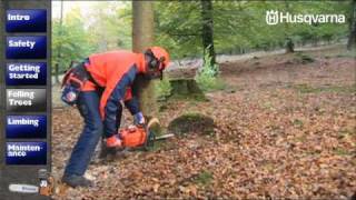 How to Work with Chainsaws  Felling Trees [upl. by Gurango]