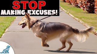 10 Excuses Ruining Your Loose Leash Walking Training [upl. by Izmar]