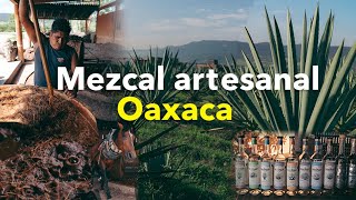 Así se HACE el MEZCAL ARTESANAL  RUTA del MEZCAL MITLA [upl. by Otaner]