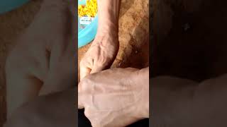 No captiondolike subscribe and share commenttaking out pig testicles [upl. by Noswad]