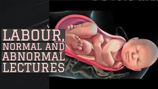 LABOUR lecture 1 MATERNAL PELVIS and FETAL SKULL ANATOMY important points made simple [upl. by Polloch210]