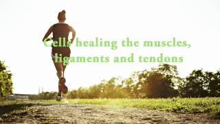 Cells healing the body  Muscles ligaments and tendons  Guided mediation [upl. by Nanci790]