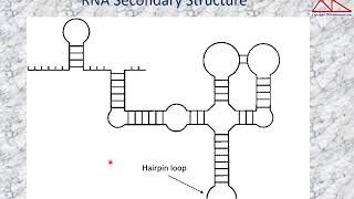 Functional Genomic and Proteomics  Lecture 7  RNAi Principles [upl. by Lynett]