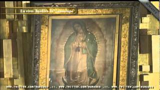 Canción Ranchera a La Virgen de Guadalupe México [upl. by Aveneg]