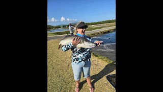 Hook a Barra Heidi out fished everybody and caught a 90cm Barra [upl. by Ecnarret]