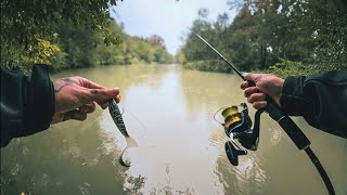 Fishing a Flooded Creek for Giant Pike amp Perch [upl. by Solegnave]