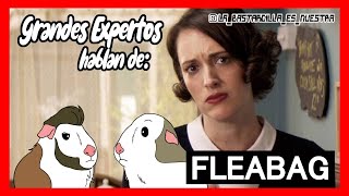 Fleabag La mejor comedia dramática de la historia  Grandes Expertos [upl. by Petulia]