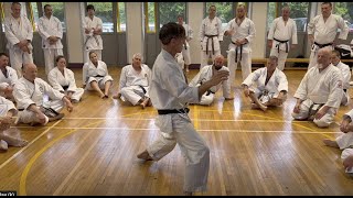 Hotton sensei aiki principles England 2022 [upl. by Burroughs]