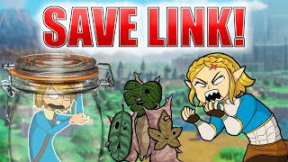 Link Your In Danger [upl. by Cally]