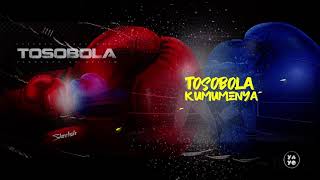 TOSOBOLA  Sheebah Official Lyric Video [upl. by Abdul150]