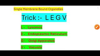 ✨Single Membrane Bound Organelles Trick by Intelligent Aadi [upl. by Araj]