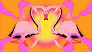 Flamingosis  Nebula Gazer Visualizer [upl. by Ennelram]