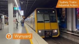 Sydney Trains at Wynyard Station [upl. by Bennir]