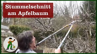 Apfelbaum schneiden  Stummelschnitt [upl. by Boff]