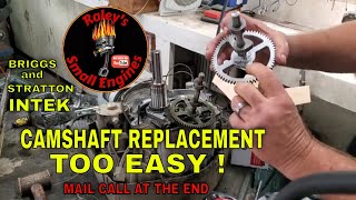 HOW TO REPLACE THE CAMSHAFT ON A BRIGGS AND STRATTON INTEK EASY DIY ALSO MAIL CALL AT THE END [upl. by Regen661]