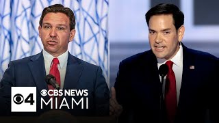 Gov Ron DeSantis will choose US Senator if Rubio joins Trump administration [upl. by Ettenot]