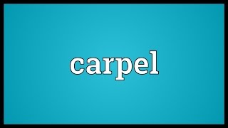 Carpel Meaning [upl. by Humfrid]