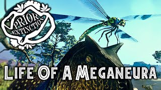 Life Of A Meganeura  Episode 02 Exploring Prior Extinction Map Update  ROBLOX [upl. by Yblek579]