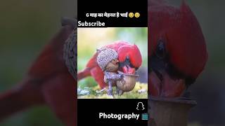 Cute videos and photography 🥰🥰 cuteviral cutepic art viral shorts [upl. by Eidissac294]