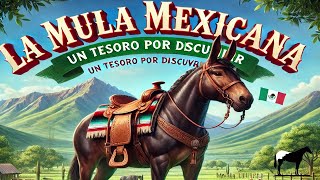 Mula Criolla Mexicana quotVivita y Coleandoquot 🐴Del Cerro Soy [upl. by Latashia]