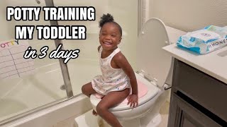 HOW TO POTTY TRAIN A 2 YEAR OLD  RAW amp REALISTIC [upl. by Edlun]