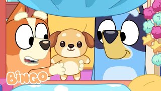 Family Time with Bingo 🧡  Best Bluey and Bingo Family Moments  Bingo  Official Channel [upl. by Yelahc]