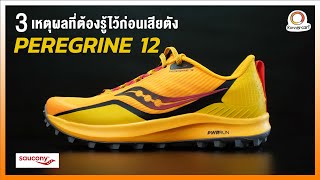 3 เหตุผลที่ต้องรู้ไว้ก่อนเสียตังกับรองเท้าวิ่งเทรล Saucony Peregrine 12 [upl. by Jefferson]