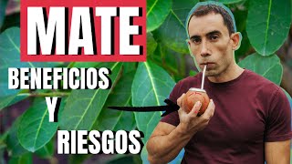 Yerba Mate Beneficios y Riesgos [upl. by Soloma]