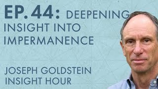 Joseph Goldstein – Insight Hour – Ep 44 – Deepening Insight into Impermanence [upl. by Hevak805]