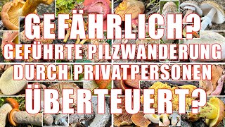 Gefahren durch amp Wucher bei geführten Pilzwanderungen durch Privatpersonen  Pilzexperten erkennen [upl. by Adlitam]