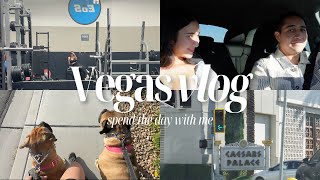 Vegas Vlogs  Day in my life [upl. by Einahc]