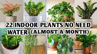 22 Indoor Plants that dont Need Water much  Indoor Plants No Need Water much  Plants and Planting [upl. by Ggerg]