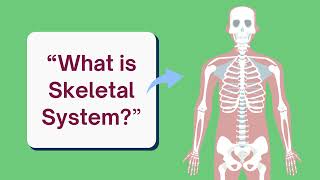 Musculoskeletal SystemScience Grade 4Matatag CurriculumQ2W1Day 1 amp Day 2 [upl. by Johm]