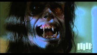 Werewolf transformation  The Howling 1981 [upl. by Ardnasal746]