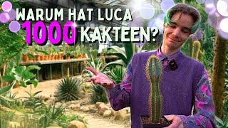 Kakteen Garten mit Anzucht Pflege und Sammelleidenschaft 😱 Wieso hat er über 1000 Kakteen [upl. by Season]