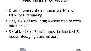 Local Anesthetics Pharmacology  Dr Bauereis [upl. by Sergeant]