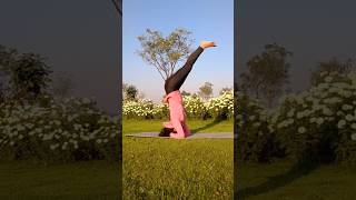 Sirsasana yoga fitness trending explore new ytshortsviralflexibility healthonlineytshort [upl. by Duer]