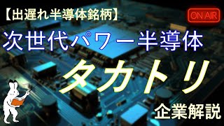 出遅れ半導体銘柄【タカトリ6338】について迫る！！ [upl. by Dillon]