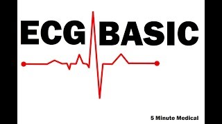 The basics of the ECG EKGECG Interpretation Basic  Easy and Simple ECGEKG basics [upl. by Veradis]