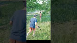 TAVŞAN BJORN AVI 😂  RANCH SIMULATOR shorts shortsvideo shortvideo ranchsimulator [upl. by Nahpos]