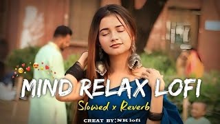 MlND RELAX LOFl song DJ SANJAY UIKEY remix [upl. by Laspisa]