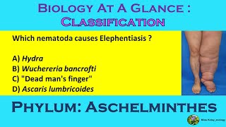 CLASSIFICATION  Phylum Aschelminthes  BSc ZOOLOGY  NEET  SLST [upl. by Nicks]