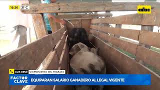 Equiparan salario ganadero al mínimo legal vigente [upl. by Fulbert]