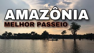 SAFÁRI AMAZÔNICO  O melhor passeio de Manaus [upl. by Ylicec319]