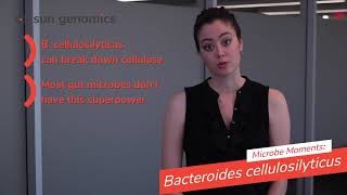 Microbe Moments Bacteroides cellulosilyticus  Sun Genomics [upl. by Ennagem]