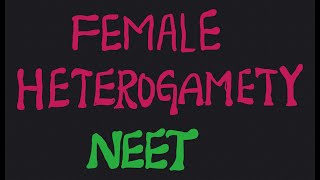 Female heterogamety NEET [upl. by Letitia177]