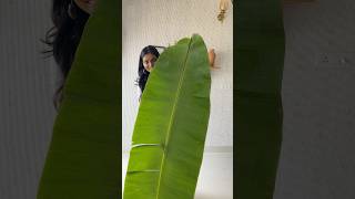 Grand looking bananaleaf toranam in 5 minutes for Diwali housewarmingdecor toranam toran [upl. by Felicidad173]