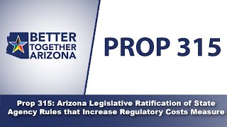 Better Together Arizona  Arizona Ballot Initiatives 2024  Prop 315 [upl. by Ode]