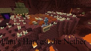 Episode 5 Pams Harvest the Nether [upl. by Reiss]