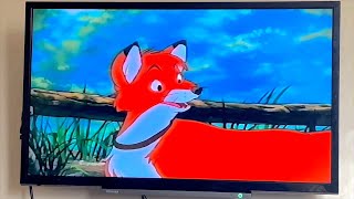 The Fox And The Hound Adult Tod iPhone With Picture Filters 4 [upl. by Iden695]